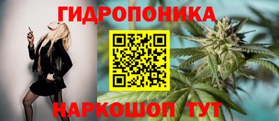 марки lsd Северобайкальск
