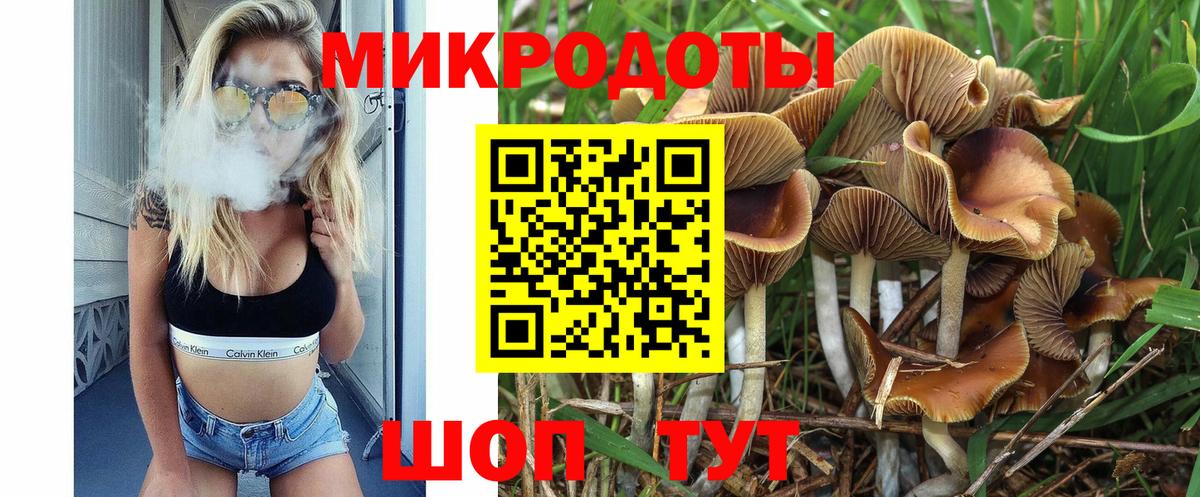 Галлюциногенные грибы MAGIC MUSHROOMS Прохладный